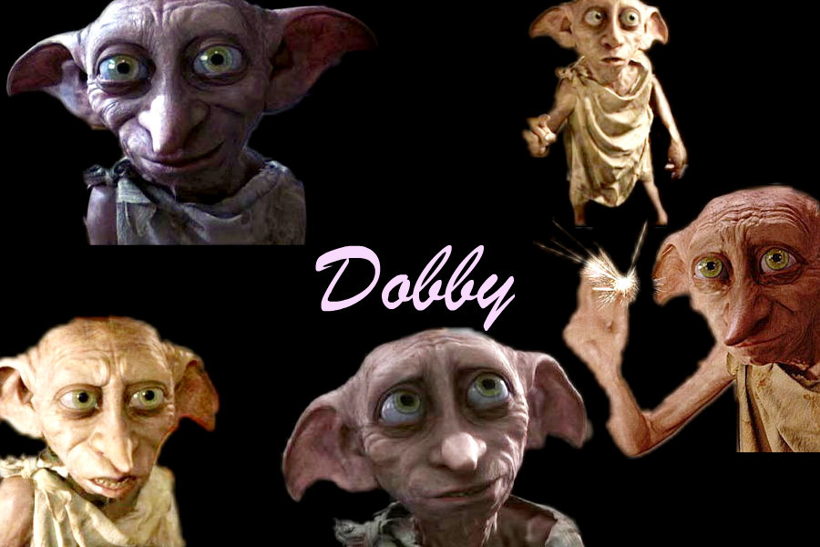 Dobby-Wallpaper-dobby-the-house-elf-7047739-900-600
